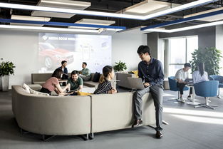 宝马数字化转型再下一城 梅晓群执掌领悦数字挂牌，深耕信息科技领域技术开发